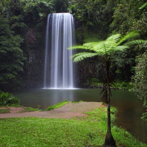 The Best Waterfalls in Cairns Sarah Adventuring