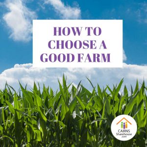 Find a Good Farm Job in Cairns